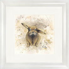 Load image into Gallery viewer, Colourful Benji