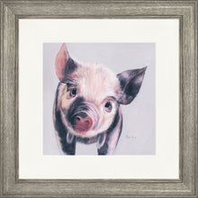 Load image into Gallery viewer, Pedro