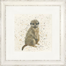 Load image into Gallery viewer, Marcus