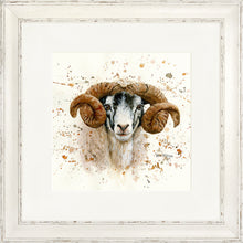 Load image into Gallery viewer, Sherman