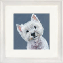 Load image into Gallery viewer, Finley