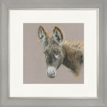 Load image into Gallery viewer, Dolores