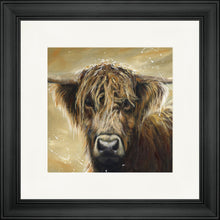 Load image into Gallery viewer, Colourful Hamish