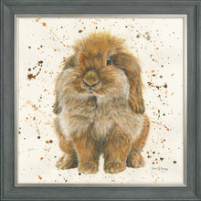 Load image into Gallery viewer, Beatrice