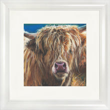 Load image into Gallery viewer, Hetty