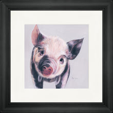 Load image into Gallery viewer, Pedro