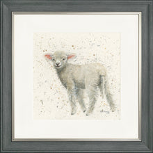 Load image into Gallery viewer, Lucy