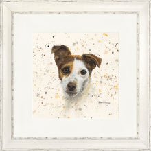 Load image into Gallery viewer, Jake
