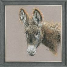 Load image into Gallery viewer, Dolores