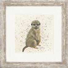 Load image into Gallery viewer, Marcus