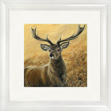 Load image into Gallery viewer, Sterling
