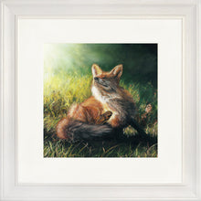 Load image into Gallery viewer, Finn