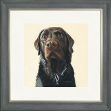 Load image into Gallery viewer, Amos