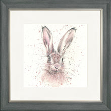 Load image into Gallery viewer, Halo