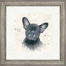 Load image into Gallery viewer, Fifi