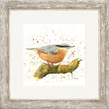 Load image into Gallery viewer, Nesbit