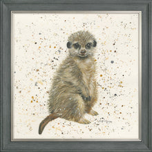 Load image into Gallery viewer, Marcus