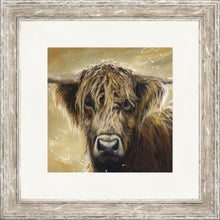 Load image into Gallery viewer, Colourful Hamish