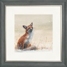 Load image into Gallery viewer, Foy