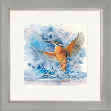 Load image into Gallery viewer, Colourful Kingfisher