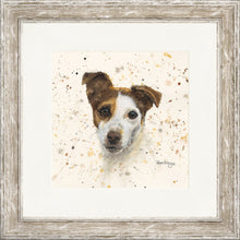 Load image into Gallery viewer, Jake