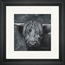 Load image into Gallery viewer, Hamish with Flicks