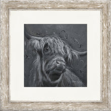Load image into Gallery viewer, Dougal 2