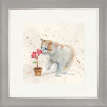 Load image into Gallery viewer, Fizz