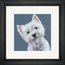 Load image into Gallery viewer, Finley