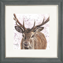 Load image into Gallery viewer, Sargent