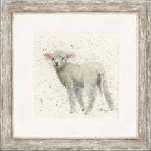 Load image into Gallery viewer, Lucy