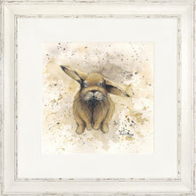 Load image into Gallery viewer, Colourful Benji