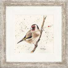 Load image into Gallery viewer, Gordon