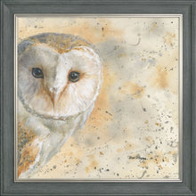 Load image into Gallery viewer, Olive