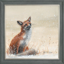 Load image into Gallery viewer, Foy