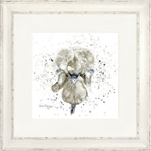 Load image into Gallery viewer, Grey Iris