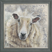 Load image into Gallery viewer, Sheila