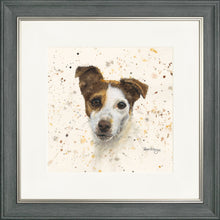 Load image into Gallery viewer, Jake