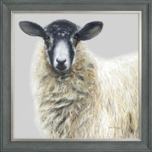 Load image into Gallery viewer, Shelley