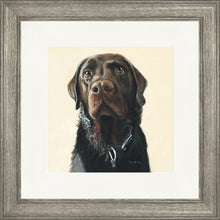 Load image into Gallery viewer, Amos
