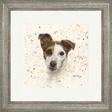 Load image into Gallery viewer, Jake