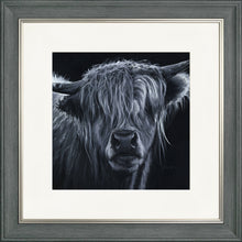 Load image into Gallery viewer, Hugo
