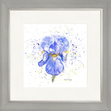 Load image into Gallery viewer, Blue Iris