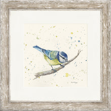 Load image into Gallery viewer, Betty