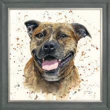 Load image into Gallery viewer, Scout