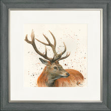 Load image into Gallery viewer, Sutherland