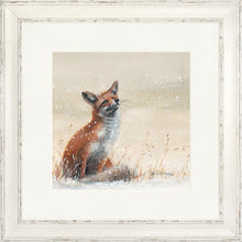 Load image into Gallery viewer, Foy