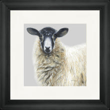 Load image into Gallery viewer, Shelley