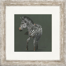 Load image into Gallery viewer, Zoe Grey