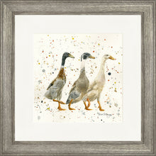 Load image into Gallery viewer, The Three Duckgrees